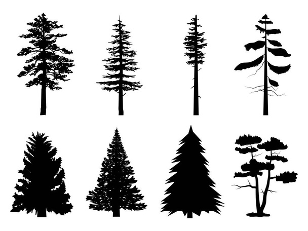 Set black color pine tree Symbol style and white background. Can be used for your work. - Vector, Image
