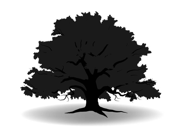 Großer schwarzer Baum und weißer Hintergrund. Baum-Silhouetten-Vektor. - Vektor, Bild