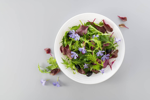 Mélanger la salade avec des bébés épinards, mizuna salade, germes de sang de taureau, fleurs comestibles et olives sur un fond gris clair, vue de dessus, espace vide pour le texte - Photo, image