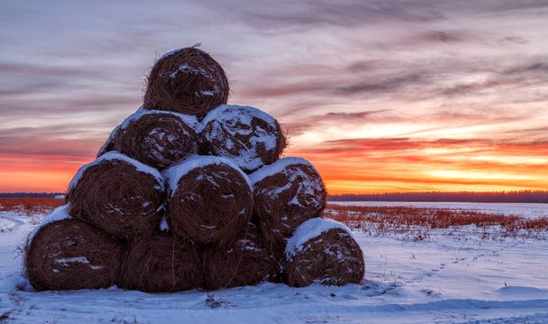 зимний пейзаж с видом на заснеженные соломенные тюки в поле на закате - Фото, изображение