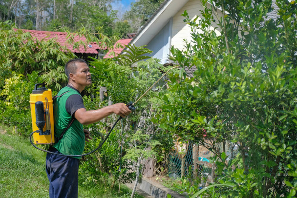 Starszy rolnik sprayu organiczne insektycydy do lipy w sadzie - Zdjęcie, obraz