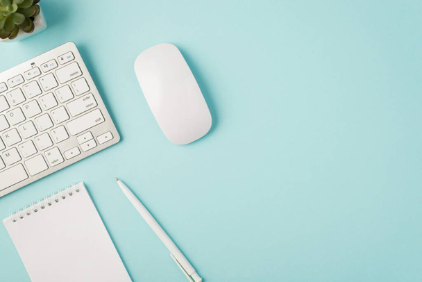 Foto vista dall'alto di bianco tastiera mouse blocco note penna e pianta su isolato sfondo blu pastello con copyspace - Foto, immagini