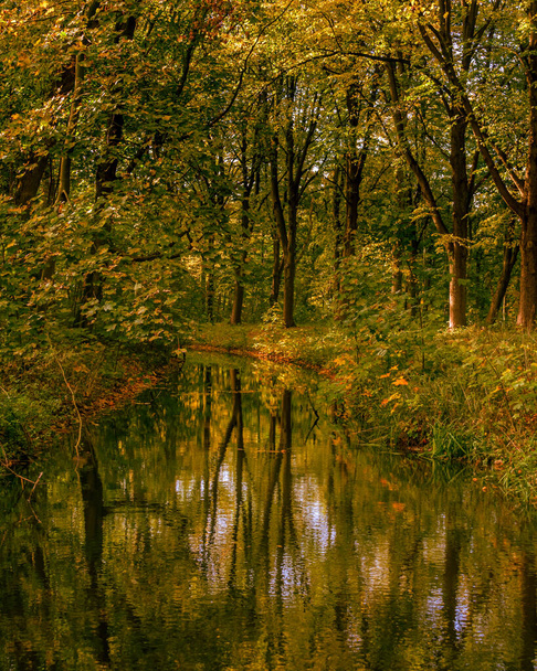 autumn in the park with reflection - Photo, Image