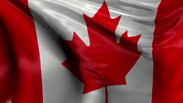 Государственный флаг Канады - Кадры, видео