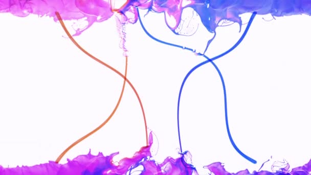 Salpicadura de pintura colorida abstracta aislada en blanco - Metraje, vídeo