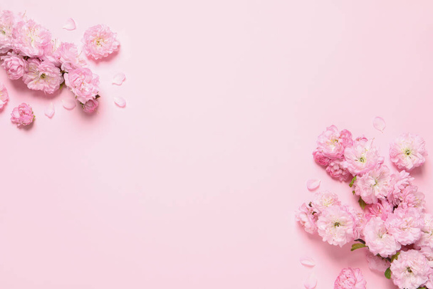 Beautiful sakura tree blossoms on pink background, flat lay. Space for text - 写真・画像