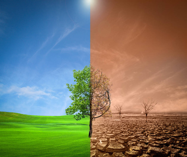 この写真は、干ばつ、砕けた土、季節的な雨の影響を示していません。地球温暖化によるものです。地球温暖化の概念 - 写真・画像