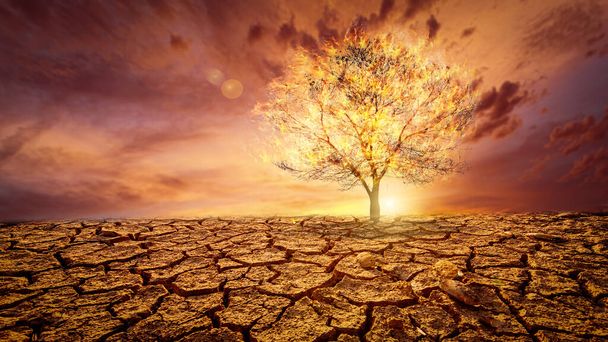 De foto toont het effect van droogte, gebarsten grond, geen seizoensregen. Omdat veroorzaakt door de opwarming van de aarde. aardopwarmingsconcept - Foto, afbeelding