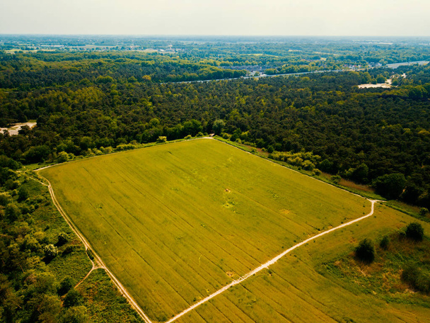 Veduta aerea drone del campo erboso vicino alla foresta nei Paesi Bassi - Foto, immagini