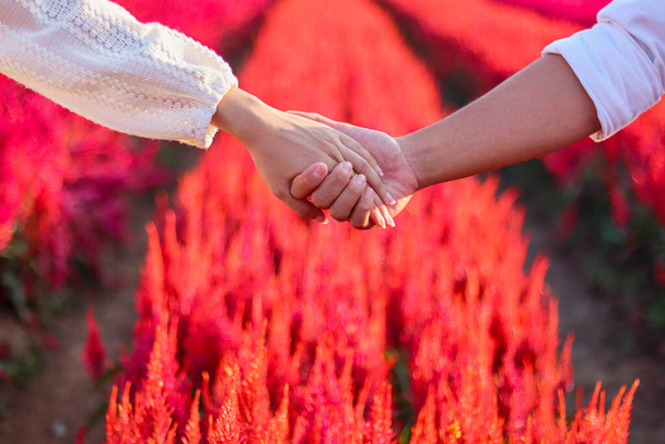 Valentinspaar spazieren am Valentinstag fröhlich Hand in Hand durch den roten Blumengarten und versprechen, einander für immer zu lieben und zu pflegen. Das Konzept von Freundschaft, Liebe und Freundlichkeit - Foto, Bild