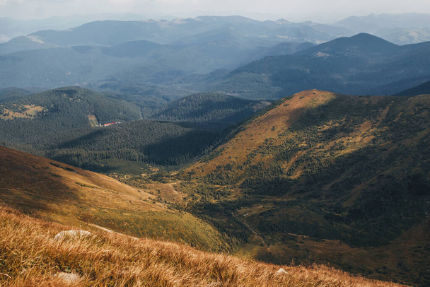 View from mountain Hoverla. Carpathian mountains. - Фото, изображение