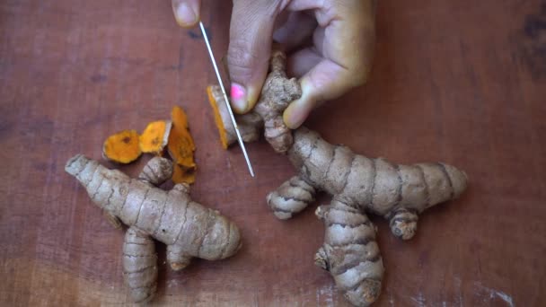 Vrouw hand snijdt plakjes kurkuma wortel - Video