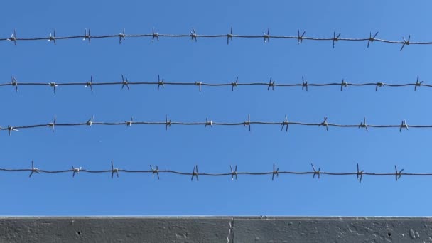 Piikkilanka aidan suojatun alueen vastaan sininen taivas. Turvatun alueen käsite. Vankila, laitosalue, vankilamuuri. 4K video 3840x2160 - Materiaali, video