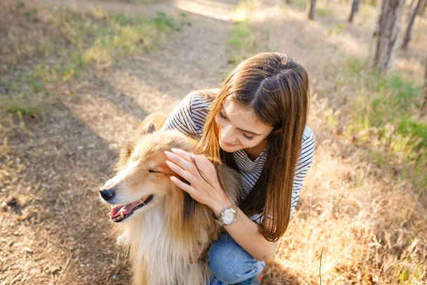Egy fiatal nő és egy idős kutya sétálnak vidéken egy nyári estén. Egy hölgy és hűséges barátja gyerekkorából egy collie dog. - Fotó, kép