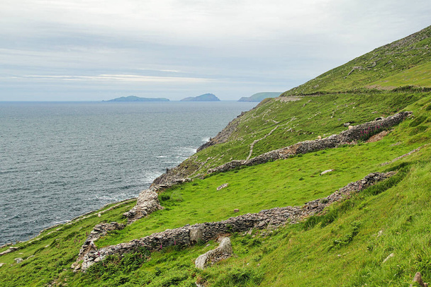 Slea Head Drive è uno spettacolare percorso di guida che fa parte della Wild Atlantic Way che si snoda e si snoda lungo la costa da Dingle, contea di Kerry, Irlanda. - Foto, immagini