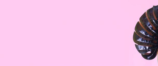 zöld szörnylevél rózsaszín háttérrel. Felülnézetből, lapos fekvéssel. Zászlós. - Fotó, kép