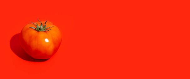 μια ώριμη κόκκινη ντομάτα σε κόκκινο φόντο. Πάνω άποψη, επίπεδη lay. Μπάνερ. - Φωτογραφία, εικόνα