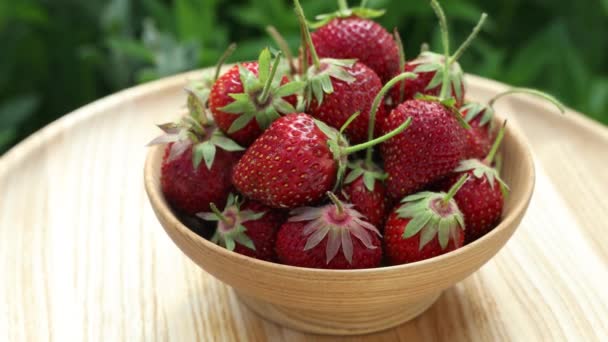 Syrové čerstvé skutečné organické jahody se otáčejí v kruhu na zahradním pozadí v zamračeném dni - Záběry, video