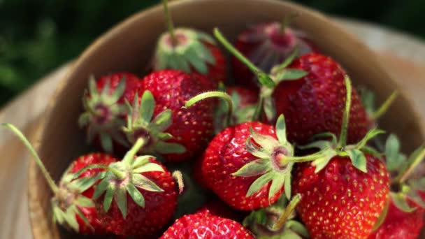 Syrové čerstvé skutečné organické jahody v dřevěném talíři na zahradním pozadí ve slunečném větrném dni, horní pohled - Záběry, video