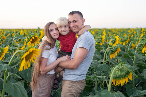 Family portrait on sunflower field background: mom dad and son. Summer vacation. - 写真・画像