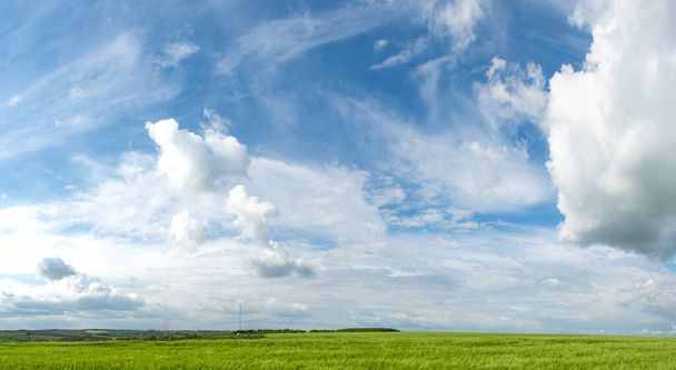 Panorama de un campo de trigo en Ucrania con el telón de fondo de un hermoso cielo y nubes - Foto, imagen