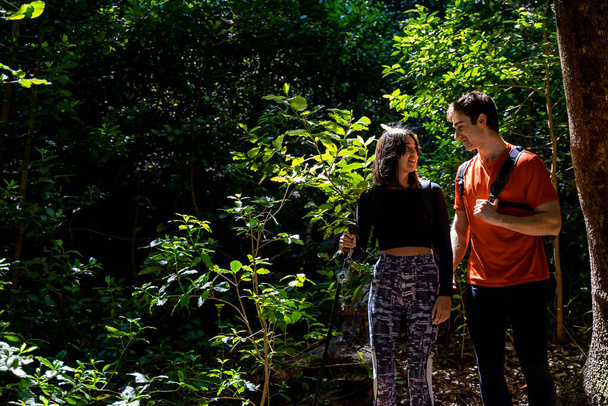 pari kävelyllä vuoristossa ja metsässä katsomassa kasvillisuutta ja maisemaa lomalla - Valokuva, kuva