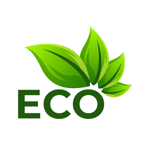 green leaf logo icon vector illustration design - Vector, afbeelding