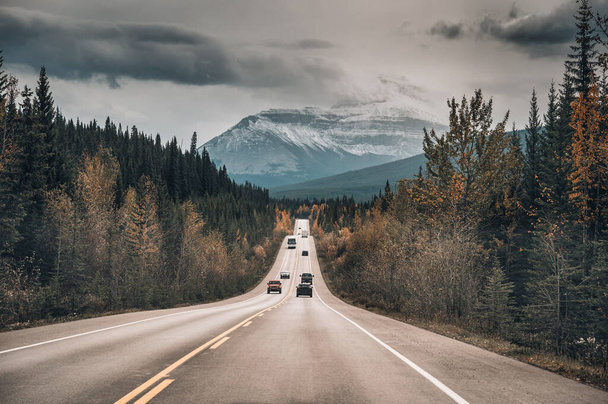 Поездка на автомобиле по дороге в осенний лес и скалистые горы в национальном парке Джаспер, Канада - Фото, изображение
