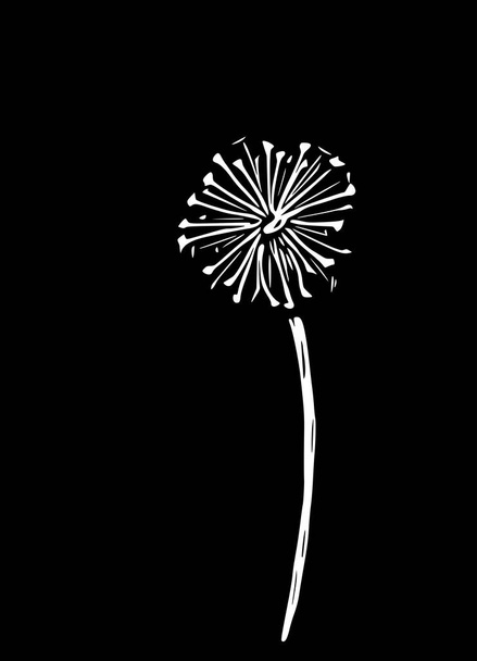 Αφηρημένη διανυσματική απεικόνιση πικραλίδας. Μοντέρνα floral τέχνη απομονωμένη σε μαύρο φόντο. - Διάνυσμα, εικόνα