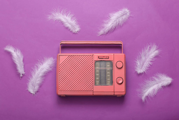 Viileä pinkki radio ja höyhenet violetti tausta. Musiikkikonsep Litteä - Valokuva, kuva
