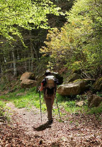 Hiking - Foto, Bild