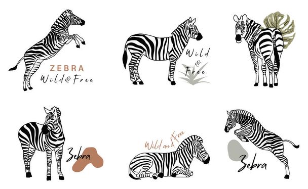 animal object collection with zebra.Vector illustration for icon,sticker,printable - Vektori, kuva