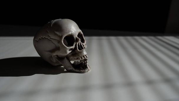 Blinds shadow on a plastic skull on a white table - Photo, image