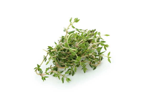 Зеленый тимьян травы изолированы на белом фоне - Фото, изображение