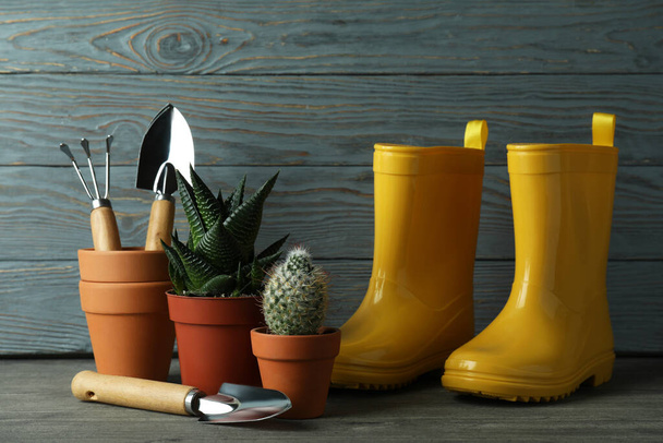 Tools for gardening against gray wooden background - Foto, afbeelding