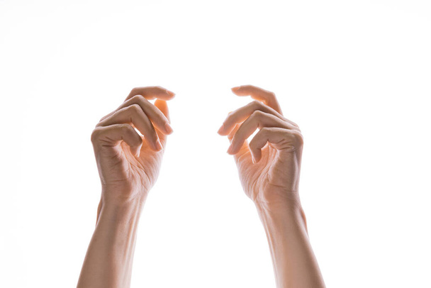 Hand gestures. Elegant female hands reach up, isolated on white, - 写真・画像