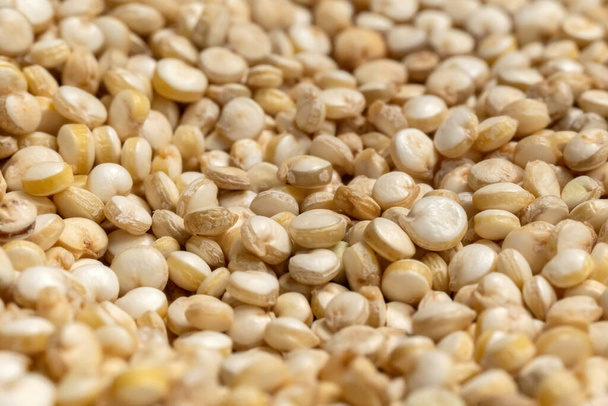 Főzetlen quinoa makró kép közelkép szelektív fókusz. - Fotó, kép
