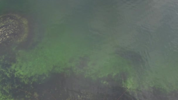 干潮の間のカナダの澄んだ水のトップダウン - 映像、動画