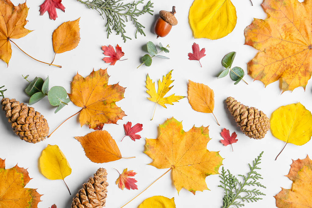 Beautiful autumn composition on white background - Fotó, kép