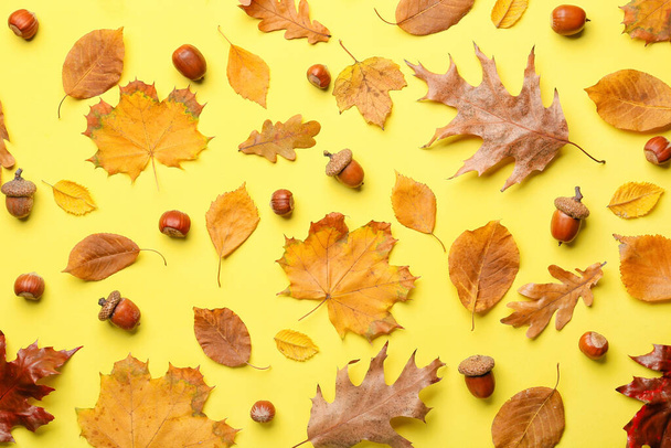 Beautiful autumn composition on color background - Foto, Imagem