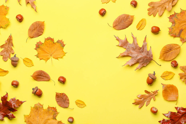 Belle composition d'automne sur fond de couleur - Photo, image