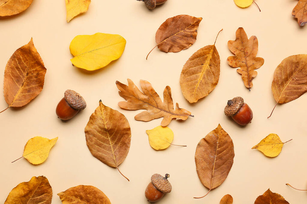 Beautiful autumn composition on color background - Foto, imagen