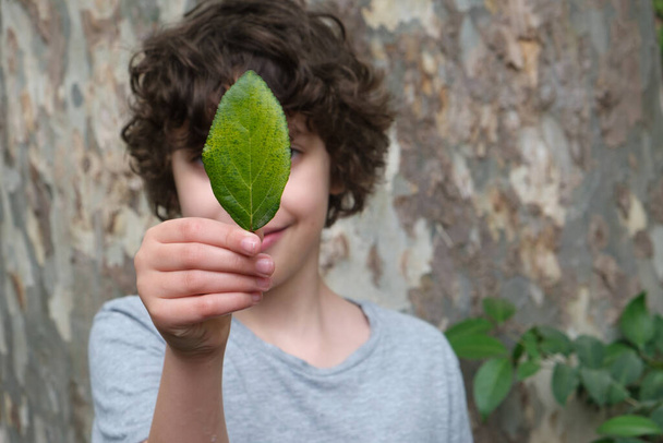 Dzieciak chowający zielone liście chowa twarz przed bagażnikiem drzewa. Koncepcja przyrody i zrównoważonego rozwoju. - Zdjęcie, obraz