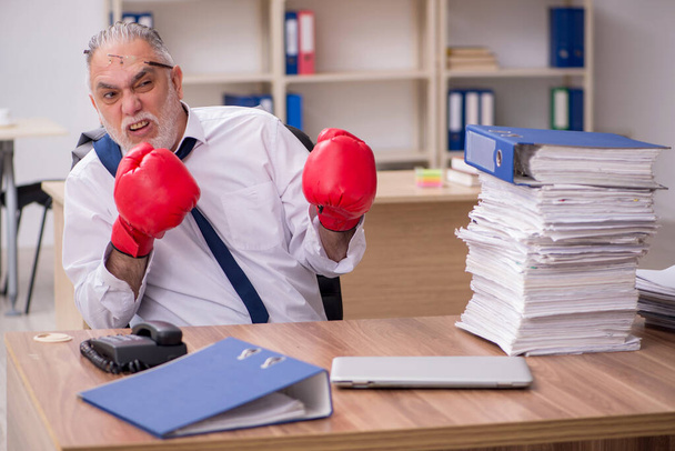 Old businessman employee wearing boxing gloves at workplace - Photo, Image