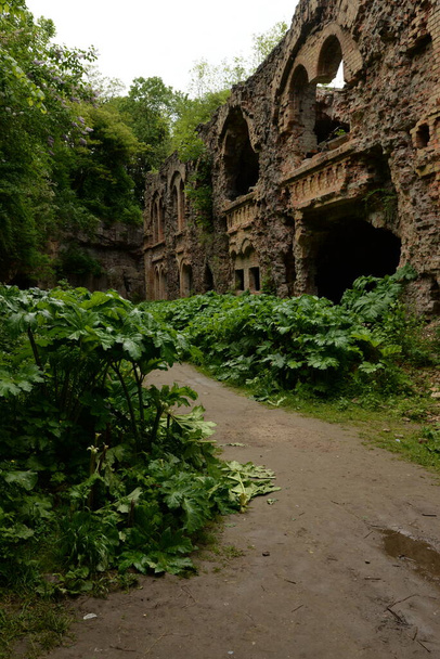 Крепость в селе Тараканы Дубенского района Ровенской области - Фото, изображение