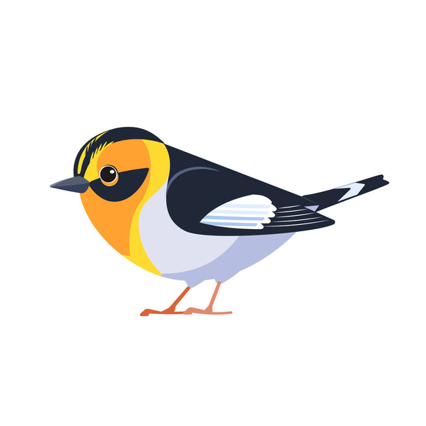 Blackburnian Warbler è una piccola parula del Nuovo Mondo. Setophaga fusca. Uccello cartone animato stile piatto bel personaggio di ornitologia, illustrazione vettoriale isolato su sfondo bianco - Vettoriali, immagini