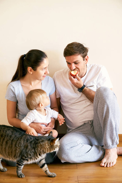 Dad eats an apple, and mom and a little girl look at him - Fotoğraf, Görsel
