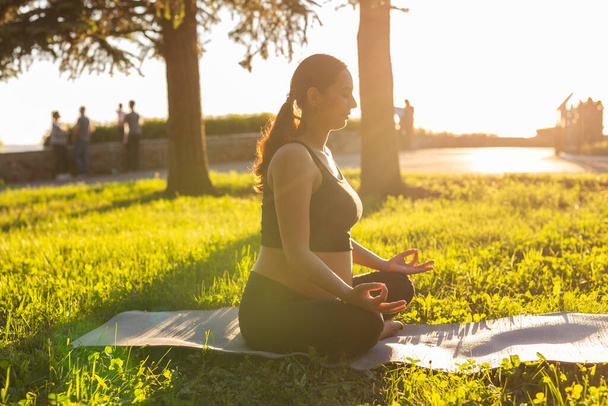 joven embarazada meditando en la naturaleza, practica yoga. Cuidado de la salud y el embarazo - Foto, Imagen