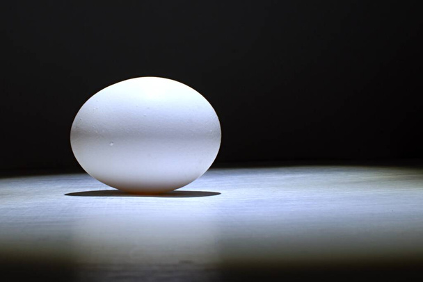 weißes Ei in Nahaufnahme bei Tageslicht auf dunklem Hintergrund unter natürlichen Bedingungen - Foto, Bild