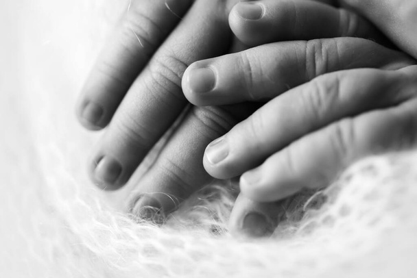 Рука Чайлдса, пальцы закрываются. Руки новорожденного, счастливое детство, здравоохранение, ЭКО, гигиена. Черно-белое фото. - Фото, изображение